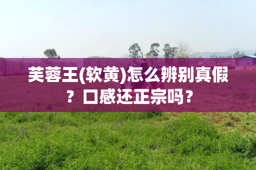 芙蓉王(软黄)怎么辨别真假？口感还正宗吗？